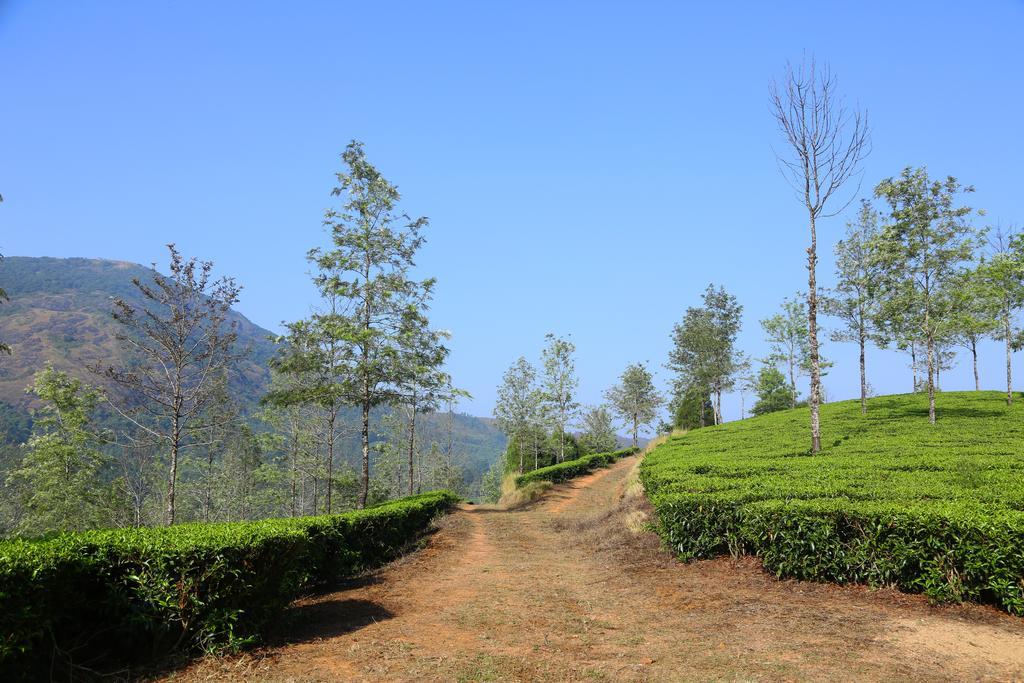 Pavithram Homestay Munnar Luaran gambar